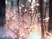 0319061746a.jpg